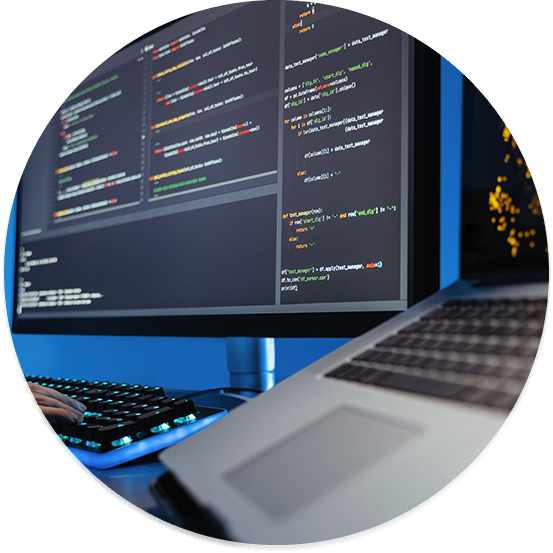 Desarrollo Web (Next.js / React)